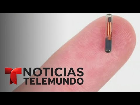 Implantan microchips a empleados de una empresa en Wisconsin | Noticiero | Noticias Telemundo