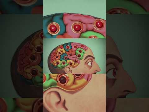 &quot;Unlocking the ADHD Mind: Insights&quot; Dive into the world of ADHD with our engaging video.