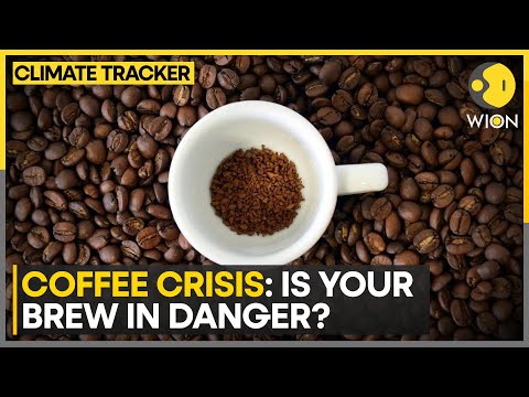 Will Your Latte Cost More Soon? | World Business Watch | WION