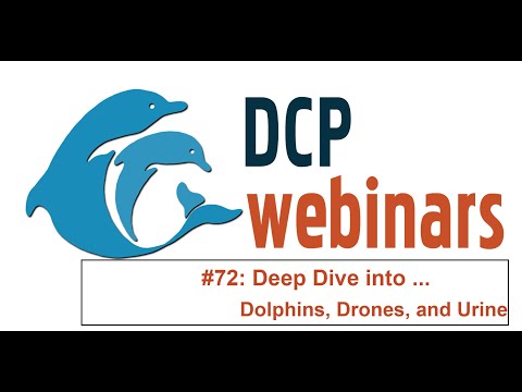 DCP Deep Dive: Dolphins, Drones, and Urine