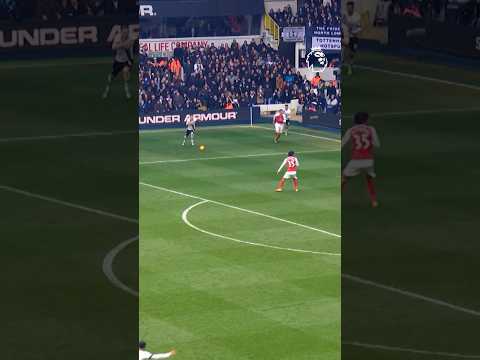 Kane scored from that angle?!
