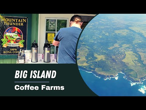 Discover the Art of Coffee: An Adventure to the Kona Coffee Farms in Hawaii
