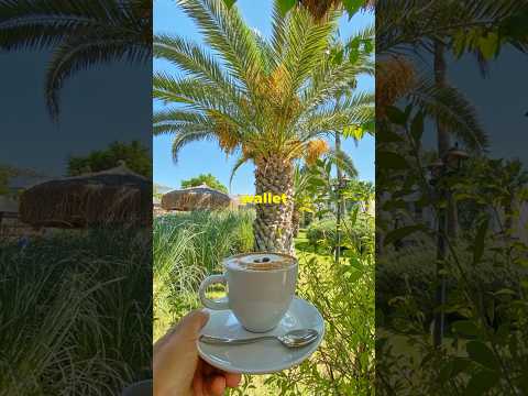 Truth about daily coffee expenses | Budget-friendly caffeine fixes #shorts #coffee #daily #budget