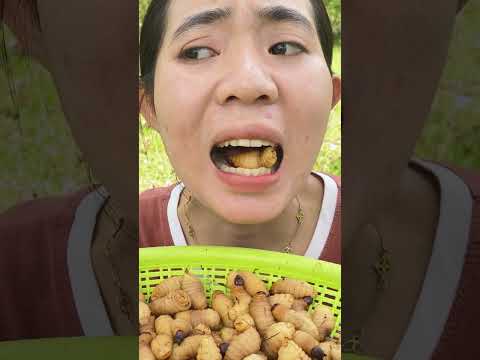 Creative ideas for eating worms