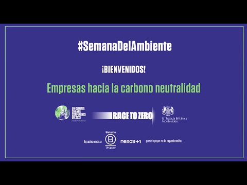 Empresas hacia la carbono neutralidad - Sistema B Uruguay