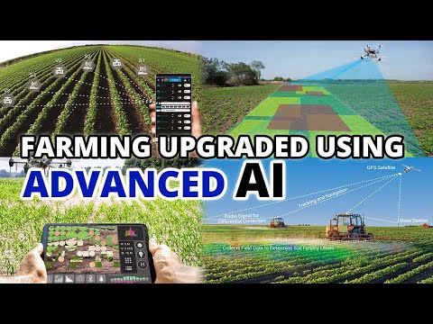 Revolutionizing Agriculture: China Uses Advanced AI in Farming