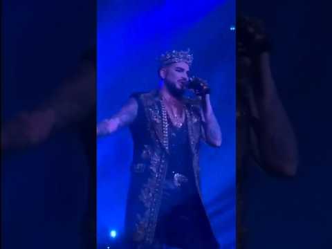 Adam Lamberts outfit choice 2023 🤩 #adamlambert #queen #outfitchoice #style #glam #rockandroll #live