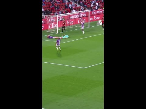 RCD Mallorca 2 vs 1 Real Valladolid CF | Game Highlights ⚽