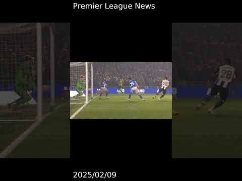 FA confirm if goalline technology was working for controversial Newcastle goal vs Birmingham