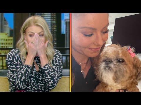 Kelly Ripa in Tears Over Death of Longtime Dog Chewie