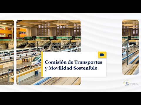 Comisión de Transportes y Movilidad Sostenible - 24/01/2024 (traducción)