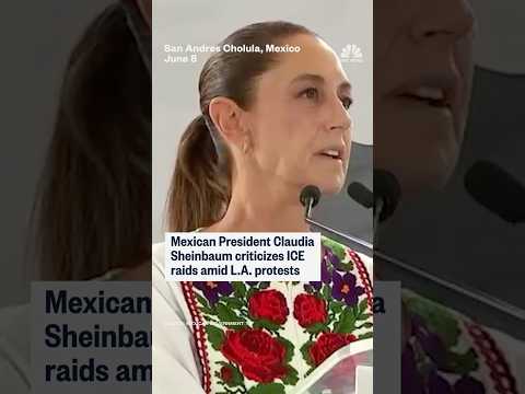 ICE raids prompt ire from Mexico&#039;s president