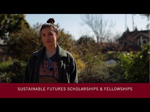 Sustainable Futures Scholarships &amp; Fellowships | SCU and Silicon Valley Power Partnership