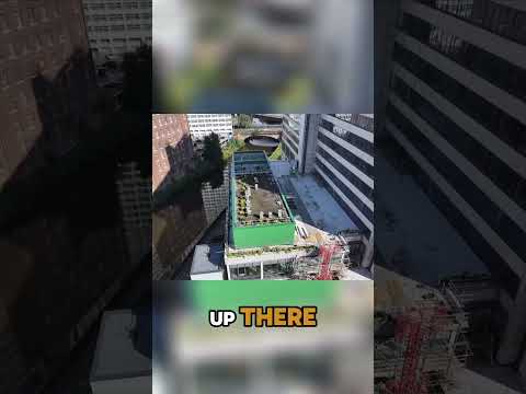 Urban Beekeeping Secrets: Thriving in the City