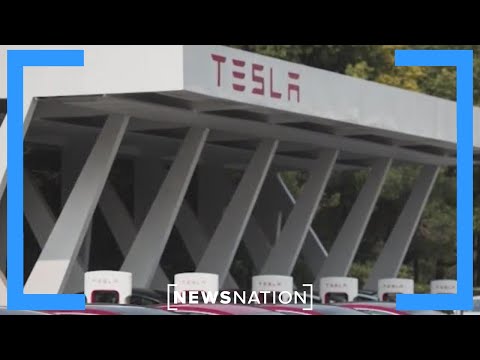 Tesla autopilot under scrutiny after &#039;Elon mode&#039; discovered | Morning In America