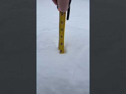 Snow Blankets Tennessee | Winter Storm Heather Hits Middle Tennessee | January 15th, 2024