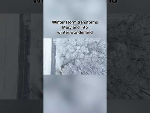 Storm transforms Maryland into winter wonderland #shorts