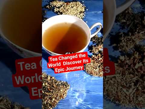 Tea Changed the World – Discover Its Epic Journey