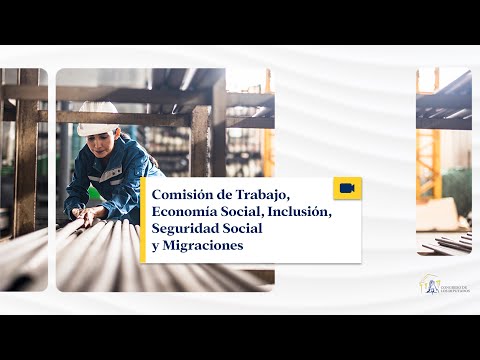 Comisión de Trabajo, Economía Social, Inclusión, Seguridad Social y Mig... - 22/01/2024 (traducción)