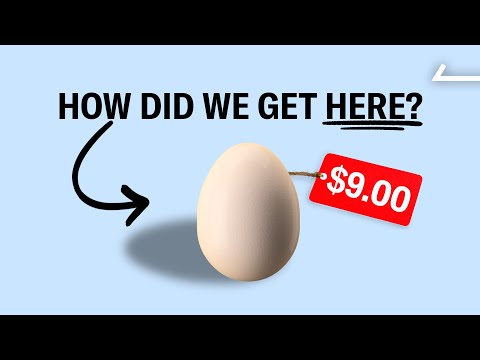 We Discovered the REAL Reason Egg Prices Skyrocketed