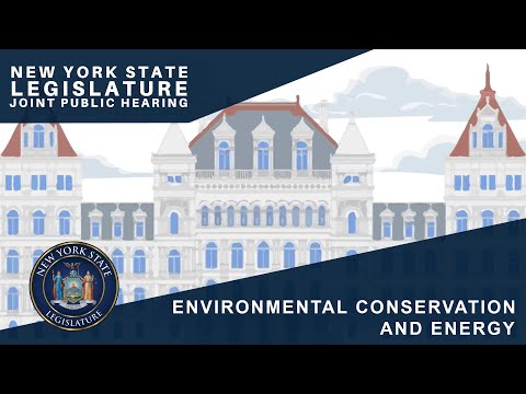 Joint Legislative Hearing on 2025 Exec. Budget Proposal: Environmental Conservation/Energy-01/28/25